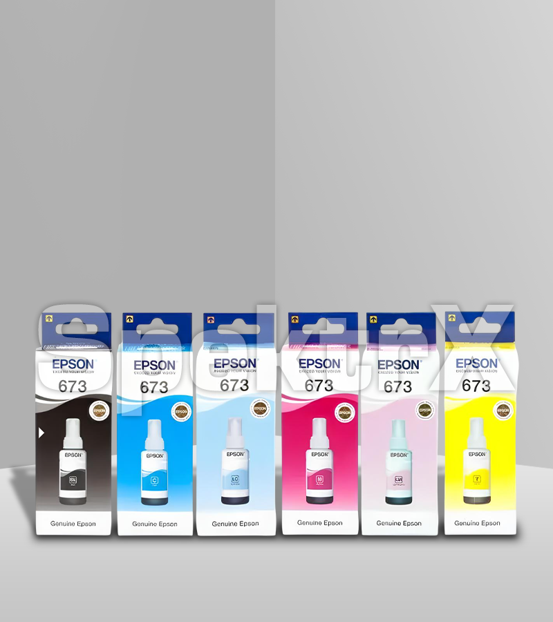 Epson 673